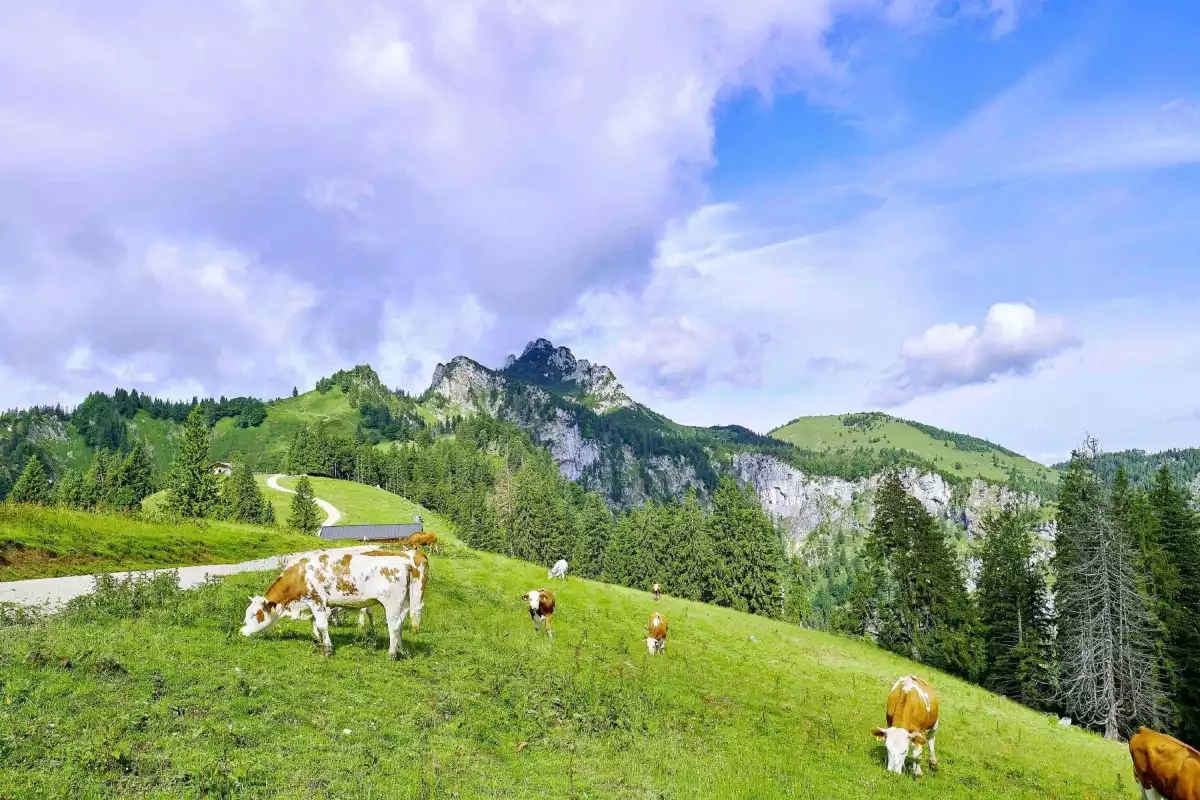 Ferienhaus Hauszeit als Ausgangspunkt für Urlaub im Chiemgau