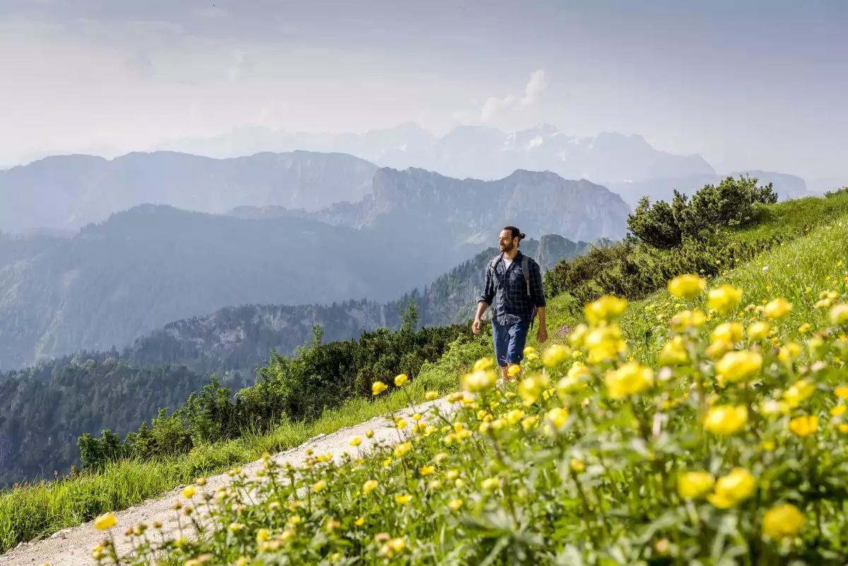 Ausflüge in die Bergwelt Nahegelegene Alpen zum Wandern und Mountainbiken